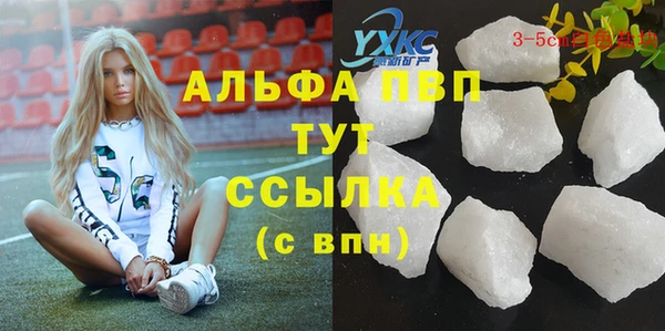мяу мяу мука Новозыбков