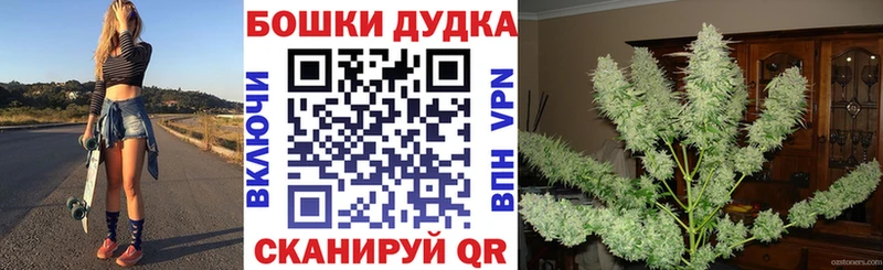 продажа наркотиков  Полярные Зори  Марихуана MAZAR 